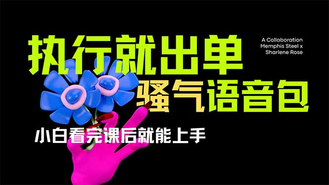 (14170期)爆火全网的开车导航骚气语音包,只要执行就出单,小白看完课程就能实操...-轻创终点站